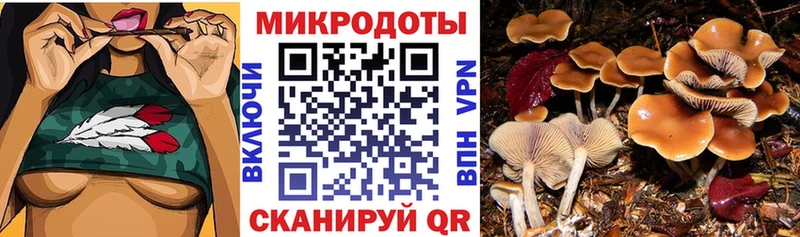 Купить  Ялта  Псилоцибиновые грибы мухоморы 